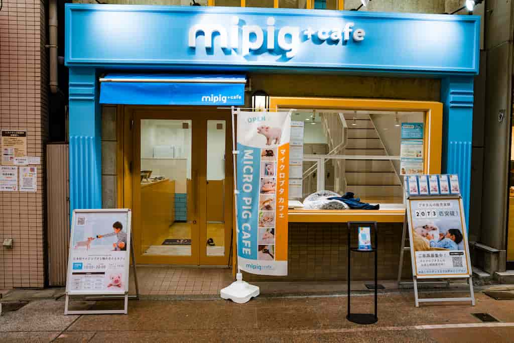 ソニーα7Vで撮影した、三宮にある豚カフェの外観を撮影した写真
