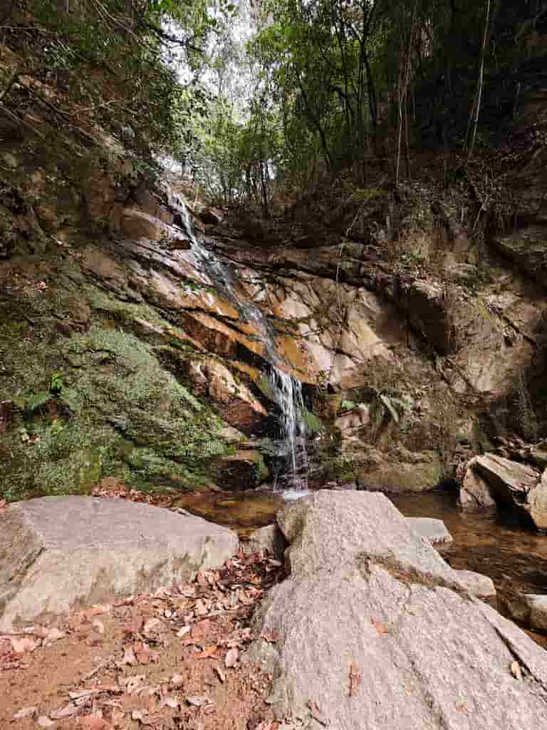 スマホで撮影した、六甲山登山途中にある滝の写真