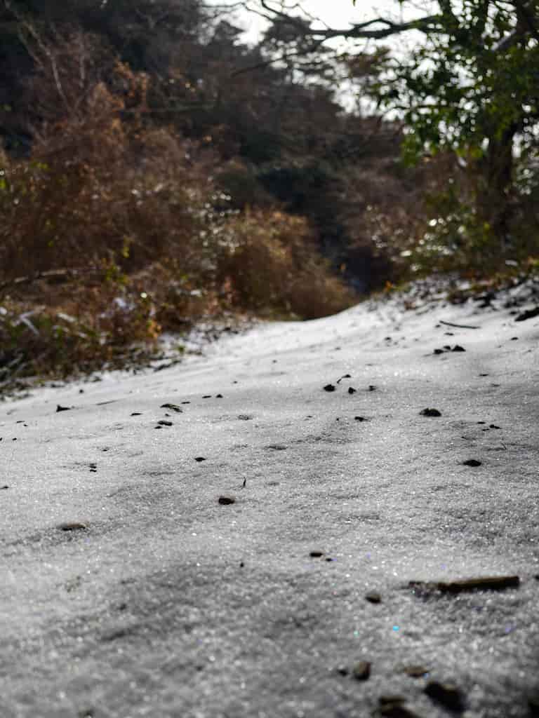 スマホで撮影した、六甲山の雪をローアングルで撮影した写真