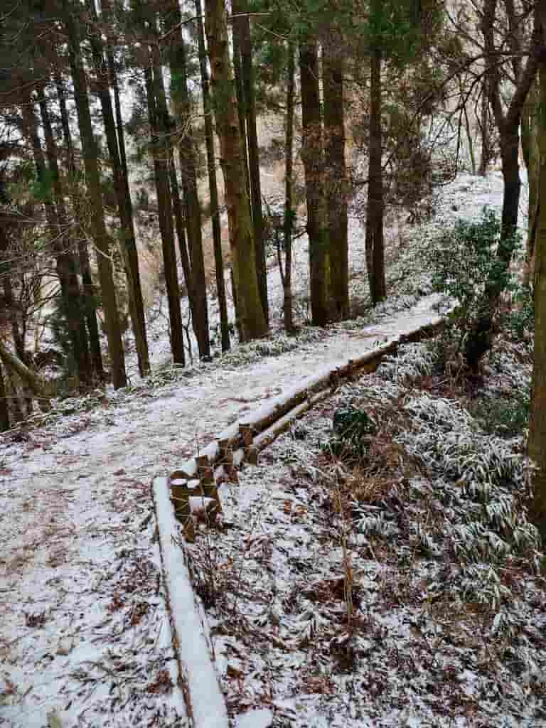 スマホで撮影した、冬の六甲山にて、有馬温泉へ下る道中を撮影した写真