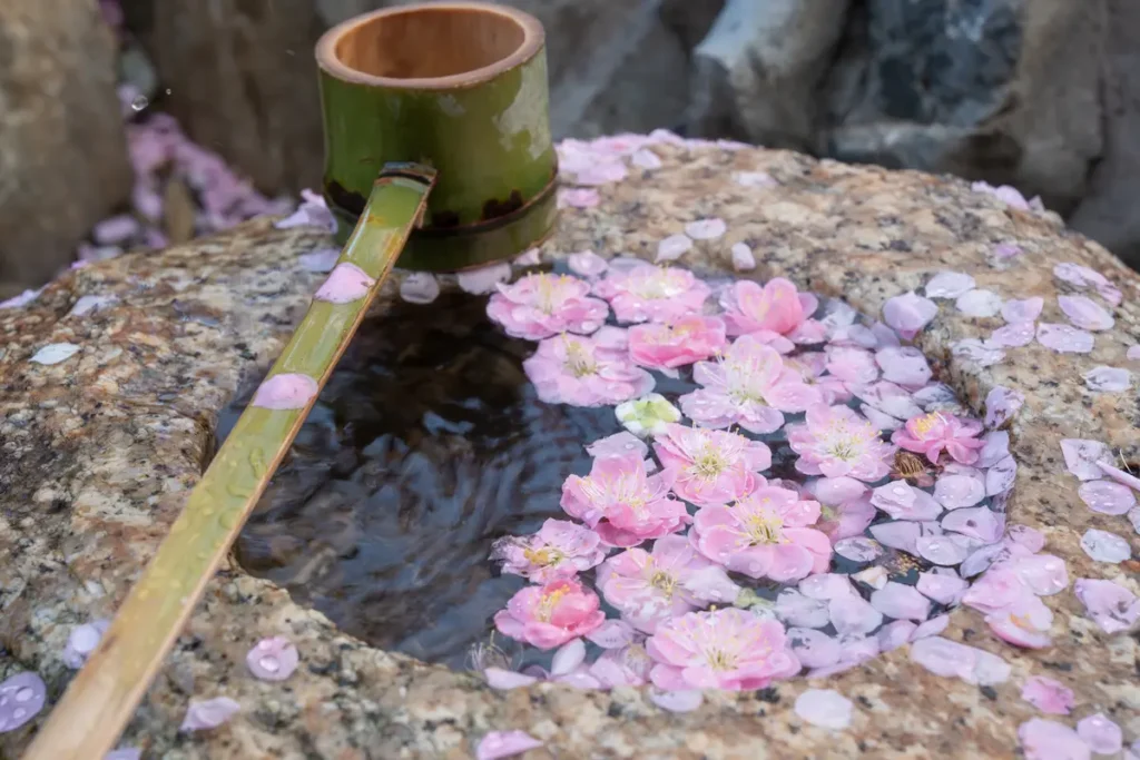 花手水を引き気味に撮影した写真