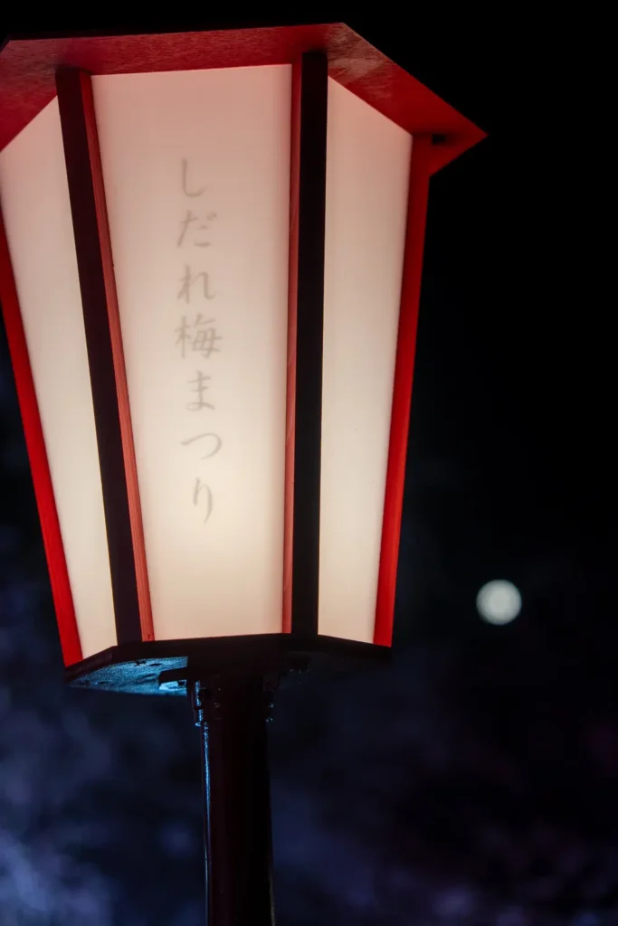 鈴鹿の森庭園の電灯と、満月の玉ボケ