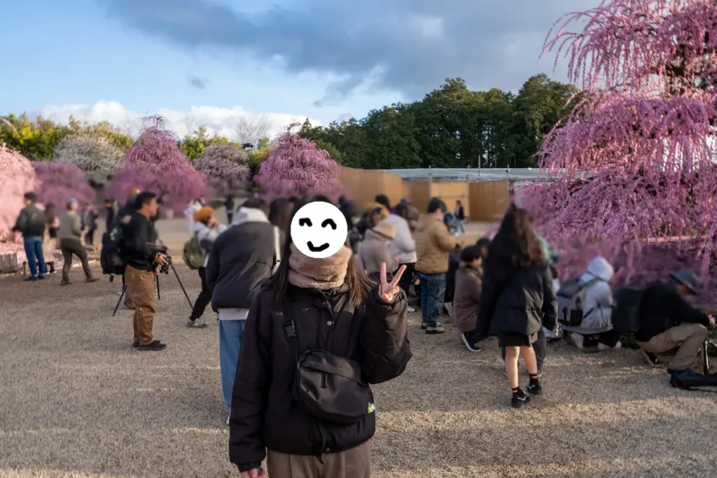 鈴鹿の森庭園のしだれ梅と、大勢のカメラマンたち